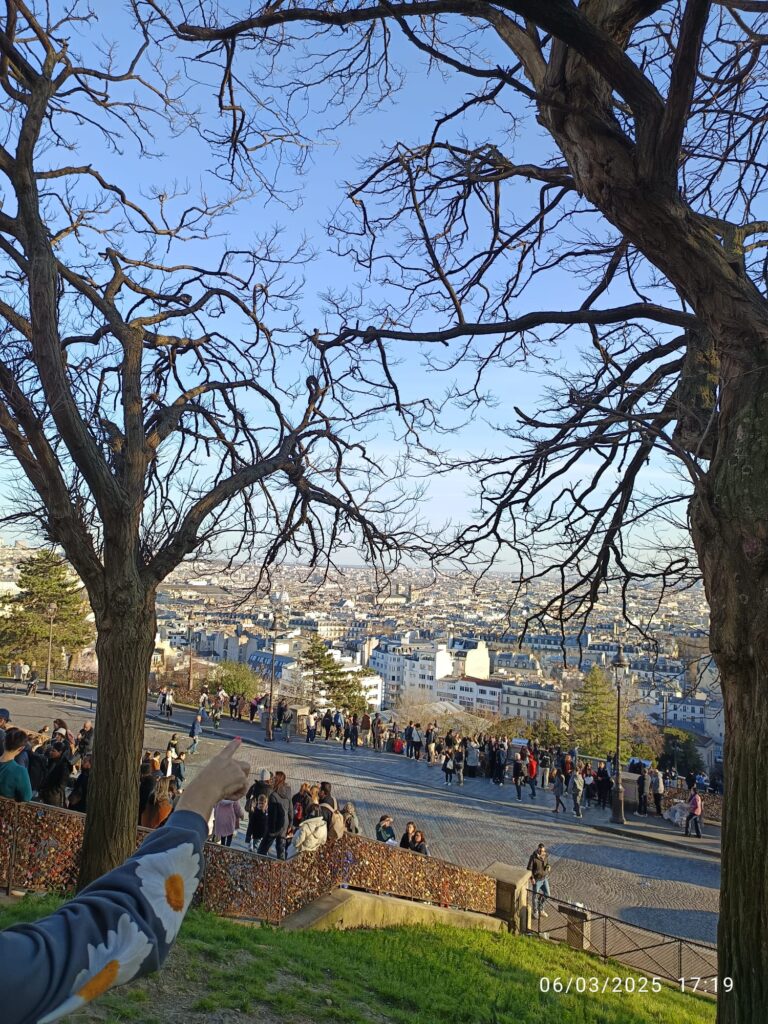 IMG-20250306-WA0020