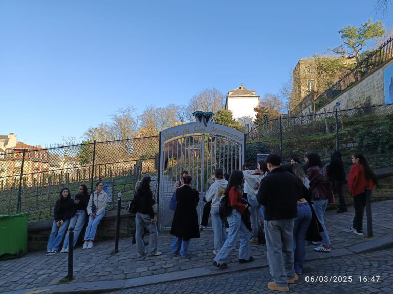 IMG-20250306-WA0022